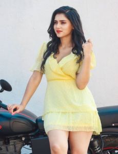 Vadodara call girls
